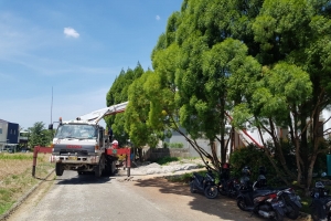 Kolam Renang Komplek Royal Sumatera